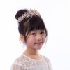 YADIRF Bride Crown Wedding Tiara Bridal Jewelry Girl Headdress Princess Luxury Elegant For Birthday Quinceanera Pageant Prom