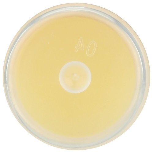 Eco Lips Inc., Mongo Kiss, Lip Balm, Vanilla Honey, .25 oz (7 g) - 2pc