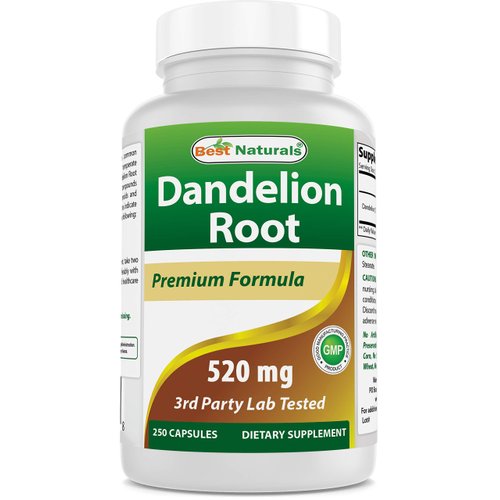 Best Naturals Dandelion Root 520 mg 250 Capsules