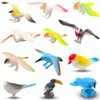 PINOWU Birds Figurines (12pcs), Realistic Eagle Parrot Toucan Pigeon Owl Toy Birds, Learning Educational Toys for Dollhouse Birthday Cake Topper Gift for Kids Toddler w/Storage Bag