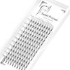 12rows,120pcs 10D Premade Volume Fans Eye Lashes Extensions Thickness 0.07mm D Curl Black Soft Individual False Eyelashes Makeup Fake Lashes Cluster 8-18mm to Choose(10MM)