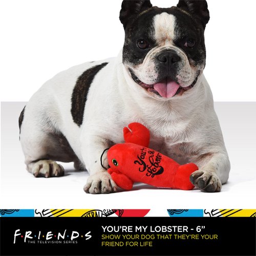 Friends the TV Show Dog Toy Lobster Plush Squeaker | Friends You’re My Lobster Plush Squeaker Pet Toy | Friends Show Toy for Dogs Stuffed Animal 6 inch, Love Themed Dog Toys