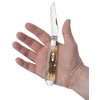 Case XX WR Pocket Knife Trapper With Genuine Bone Handle, Carbon Steel Blade(s), Length Closed: 4 1/8 Inches (Amber Bone)