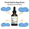 Pet Wellbeing Throat Gold for Cats - Vet-Formulated - Soothes Throat Discomfort and Occasional Cough, Supports Upper Respiratory Tract - Natural Herbal Supplement 2 oz (59 ml)
