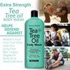 Natural Riches Tea Tree Oil Body Wash, 16 fl oz - Soothing, Calming, and Hydrating for Normal, Combination, Sensitive, Oily, and Dry sensitive skin bodywash
