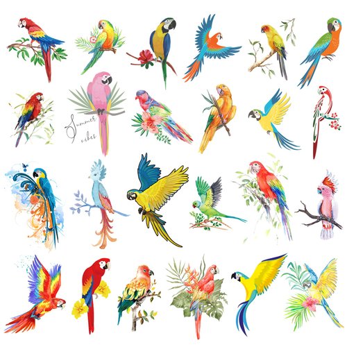 16 Sheets Watercolor Parrot Birds Temporary Tattoos For Women Girl, Colorful Flower Macaw Fake Tattoos Party Favors Arm Leg Chest Art Decals for Kids Adult