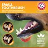 Arm & Hammer for Pets Complete Care Puppy Dental Kit | Includes 2.5 oz Dog Toothpaste in Peanut Butter Flavor, Small Dog Toothbrush for Small Dogs and Puppies, and Microfiber Finger Brush