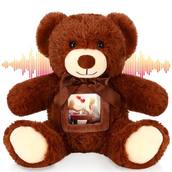 Libima 14 Inch Remembrance Bear Plush Stuffed Animal with Recorder Soft Doll Fabric Animal Toy with a Picture Frame for Baby Shower Wedding Birthday Gift (Dark Brown, 14 Inch)