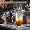 Double Wall Glass Coffee Mugs Set of 2, 16 oz Insulated Coffee Mug with Handle, Clear Borosilicate Glass Coffee Cups for Cappuccino, Tea, Lightweight and Microwave Safe