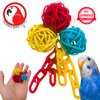 Bonka Bird Toys 2529 Ball and Chain Foot Toy Forage Play Chew Small Parrot Cage Toy, Conure, Cockatiel, Parakeet and Similar Breed Sizes