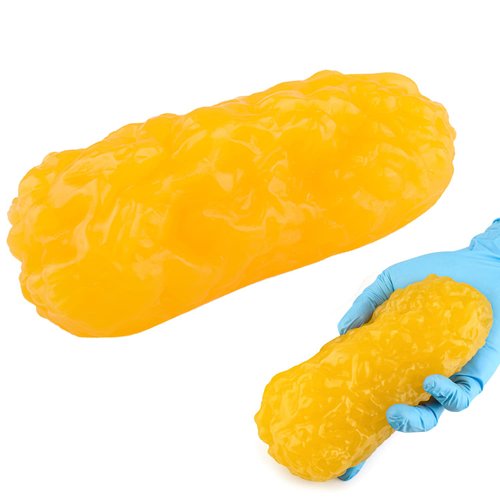 RONTEN 1 lb Human Fat Anatomical Model, A True Replica of Human Body Fat, Perfect for Nutritionists, Fitness Enthusiasts to Display