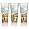Desert Essence Perfect Pistachio Foot Repair Cream 3.5 fl. oz. - Pack of 3 - Gluten Free - Vegan - Cruelty Free - Pistachio Oil, Shea Butter & Macadamia Oil - Relieves Rough Dry Feet