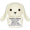 Mini Inspirational Positive Crochet Animals Bunny Gifts Emotional Uplifting Coworker Sister Brother Support Gift Cute Bunny Christmas Stocking Stuffer for Friend Daughter Son Small Birthday Gifts