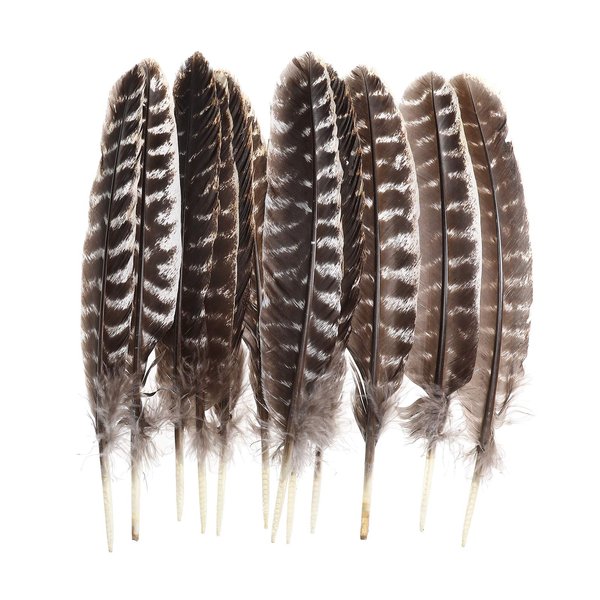 20pcs Wild Turkey Feathers Decoration - Feather for Craft Headdress Home Wedding Centerpieces 10-12inch