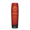 RICH Pure Luxury Colour Safe Shampoo for Color Treated Hair Protect - Color Safe, Paraben & Sulfate Free Conditioner in Argan Oil, Biotin, Hyluronic Acid - 8.45 oz