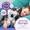 Warm Pals - Cuddly Koala - 1.5lbs - Cozy Microwavable Lavender Scented Plush Toys - Heated Stuffed Animal - Heatable Coolable Bedtime Comfort Plushie