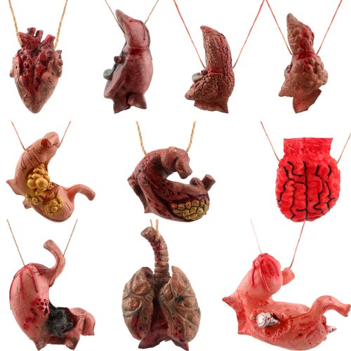 Cagemoga 10 Pieces Halloween Blood Body Parts Realistic Scary Fake Lung Liver Stomach Heart Brain...