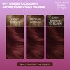 Clairol Bold & Bright Permanent Hair Dye, BR4 Fruits of the Forest Hair Color, Pack of 1