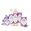 Nubian Heritage Liquid Hand Soap for Dry Hands Lavender and Wildflowers Cruelty-Free Skin Care 12.3 oz, 2090611