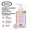SOUTH OF FRANCE NATURAL BODY CARE Foaming Hand Soap 8oz - Foam Hand Wash (Cherry Blossom, 1 Bottle)