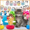 16 Pcs Cat Theme Birthday Party Decorations Party Supplies Kit, Includes Cat Party Banner with 6 Cat Hanging Cutouts 6 Hanging Swirl Decor and 3 Birthday Honeycomb Party Decoration(Cartoon Style)