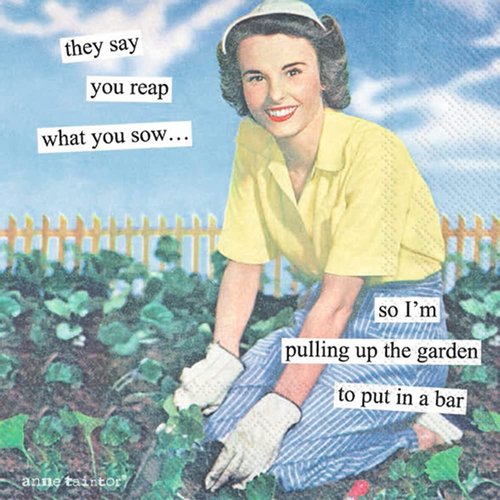 Boston International Anne Taintor Paper Napkins, 20-Count Cocktail Size, Reap What You Sow