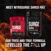 Jacked Factory NITROSURGE Shred Pre Workout Supplement - Energy Booster, Instant Strength Gains, Sharp Focus, Powerful Pumps - Nitric Oxide Booster & PreWorkout Powder - 30Sv, Blueberry Lemonade