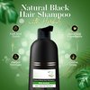 BIOGREEN ROOTS Ammonia-Free Herbal Hair Shampoo - Covers Gray Hair for Men and Women - Natural Color & Nourishment - No Skin Stains - Natural Black (200 ml)