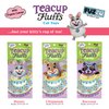 FUZZU Teacup Fluffs Cat Toy with U.S. Grown Certified Organic Catnip– Raccoon