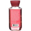 Bath Body Works Japanese Cherry Blossom 3.0 oz Shower Gel