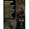 Cistanche Tubulosa 200mg & Tongkat Ali 400mg (Max Purity) 2 Month Supply (50% Echinacoside + 10% Acetoside with Tongkat Ali for Men 200:1 (Longjack) Eurycoma Longifolia) similar to Fadogia Agrestis