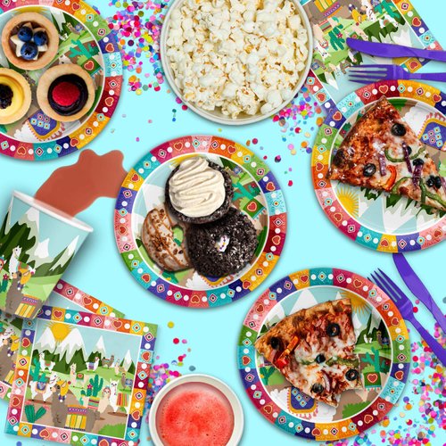 Llama and Cactus Birthday Party Supplies - Southwest Party Set Plates Napkins Cups Tableware Kit for 16