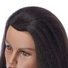 Hairlink 100% Real Hair Afro Mannequin Head Hairdresser Hair Styling Training Head Dolls for Cosmetology Manikin Maniquins Practice Head with Stand (9926B0216)