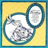 STAMPENDOUS Blue Ultra FINE Glitter SHIMM