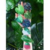 8 Pcs Tropical Leaves Phone Holder Green Plant Cell Phone Grip Holder Monstera Philodendron Anthurium Phone Sockets Cute Phone Finger Collapsible Expanding Kickstand Holder for Smartphone and Tablets