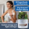 PlantFusion Complete Lean Plant Based Protein Powder - Prebiotic Fiber, Superfoods & Digestive Enzymes - Vegan, Gluten Free, Soy Free, Non-GMO - Chocolate Brownie 1 lb