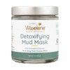 Waxelene Detoxifying Mud Mask Dry Blend - Deep Pore Cleanse Ritual Eczema Acne Oily Sensitive Skin Activated Charcoal Bentonite Dead Sea Clay
