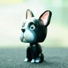 IBWell Bobbleheads Dog Bulldog for Car Vehicle Automobile Decor,Cute Car Dashboard Bobble Head Boston Terrier Decoration