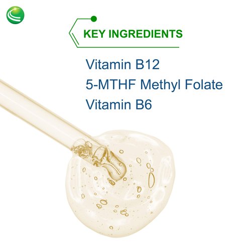 Nutra BioGenesis - Methyl Factors - B12 and Methyl Folate to Help Support Brain and Cardiovascular Health - Berry Flavor - 2 Ounce