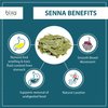 bixa BOTANICAL Senna Leaves Powder (Cassia angustifolia), 1 Pound (16 Oz) - Natural Herbal Laxative | Ayurvedic Herbal Supplement to Support Digestive Function