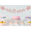 mis 15 años Banner, Mis Quince Años Sign For 15th Birthday Party Decoration For Girls, My 15th Birthday Party Decorations Supplies Rose Gold Glitter