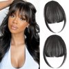 Cesomeey Clip in Bangs 100% Real Human Hair, Wispy Bangs Hair Clip, Hair Bangs Clip in Human Hair, Fake Bangs Fringe with Temples Hairpieces, Clip on Bangs for Women Daily (Natural Black, Wispy Bangs)