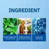 CP-1 Cool Mint Shampoo, for Dry Hair, Relief Icy Menthol, Fresh Peppermint, Scalp Treatment, 16.9 fl oz