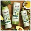 Suave Professionals Shampoo, Avocado + Olive Oil, 12.6 oz