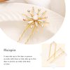 Brishow Star Hair Pins Gold Snowflake Star Hair Accessories Pearl Vintage Rhinestone Starburst Hair Pieces 2PCS for Women and Girls