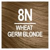 Naturtint Permanent Hair Color 8N Wheat Germ Blonde (Pack of 1), Ammonia Free, Vegan, Cruelty Free, up to 100% Gray Coverage, Long Lasting Results