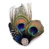 Aliotech Beautiful Butterfly Peacock Feather Hair Clip Pins with Rhinestones,Feather Hair Clip Pin Bridal Wedding Dance Party Hair Accessory