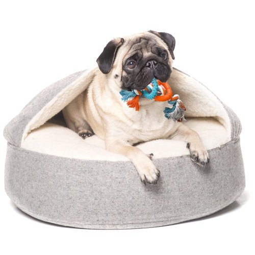 Animal Planet Puppy Teething Toy: 11" Rope w/Spikey Ball for Small/Medium Dogs. Rope-n-Tug Encourages Mild & Less Aggressive Chewers to Safely Play Without The Mess
