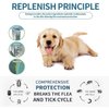 Advanllent Flea Collar for Dogs, Flea and Tick Collars for Small Dogs, 15.5inch, 8 Month Protection (1 Pack), Gray