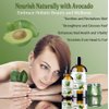 Bella Terra Oils - Avocado Oil 8 oz - A Luxurious Dive into Natural Avocado Benefits, Enriched with Potassium & Folic Acid, Elevate Your Skin Care Routine